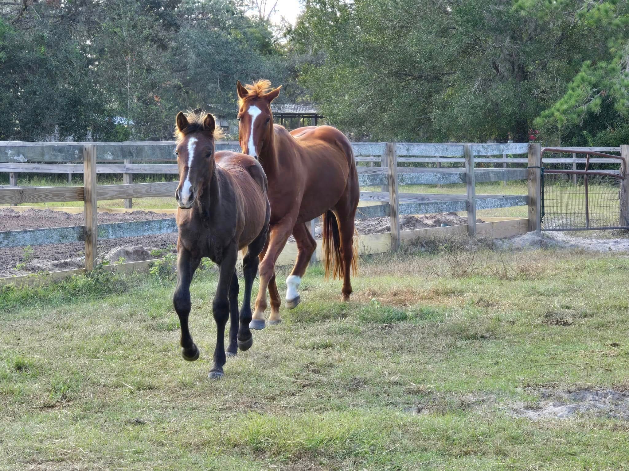 Reacher