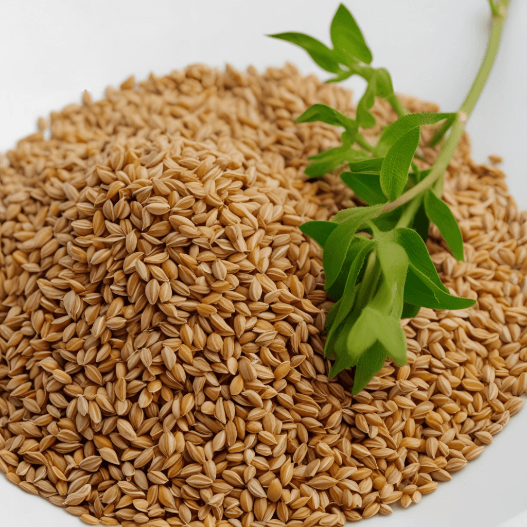 Improve Equine Fenugreek powder for horses — digestive health, appetite stimulation, single-ingredient Apothecary, human-grade no fillers