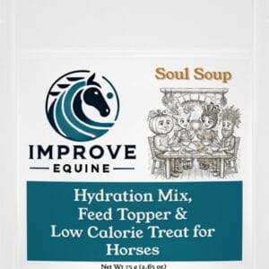 Soul Soup 2lb bag — Improve Equine horse hydration mix, pumpkin turmeric cinnamon, best for masking horse medication
