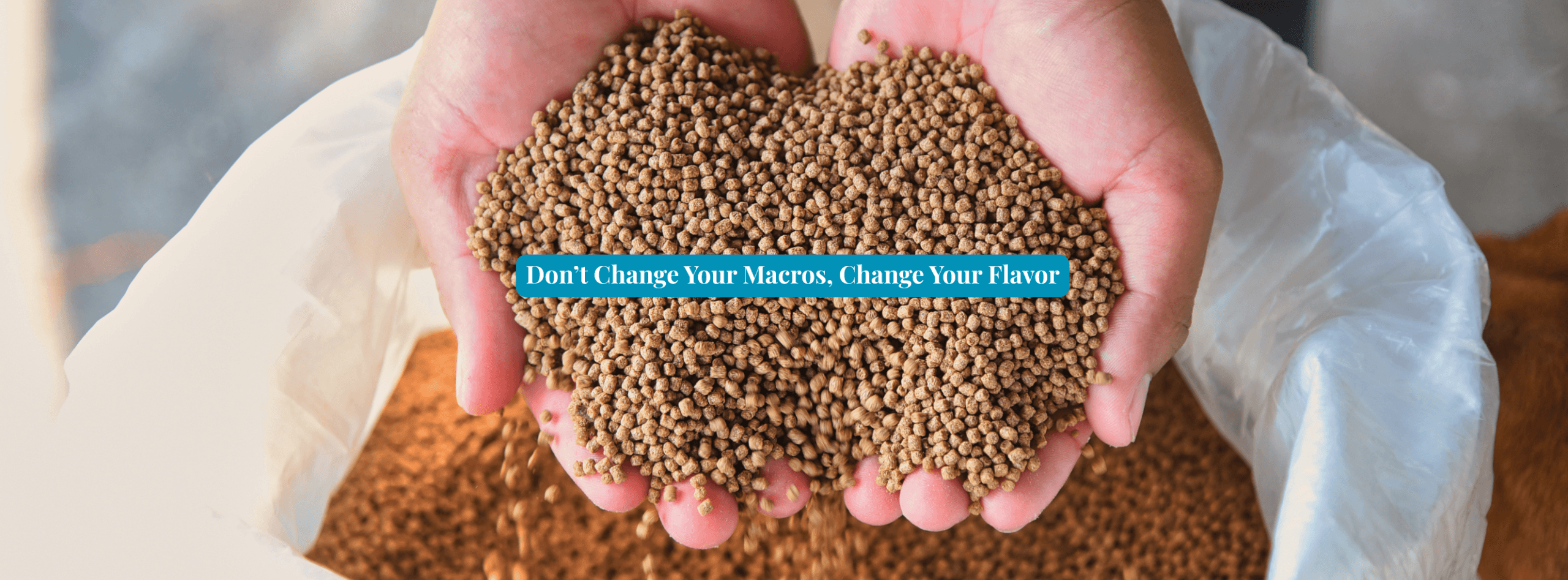 Improve Equine flavored hydration mix — five uses for horses