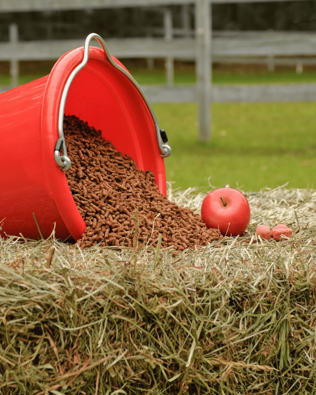 Foundational Horse Nutrition