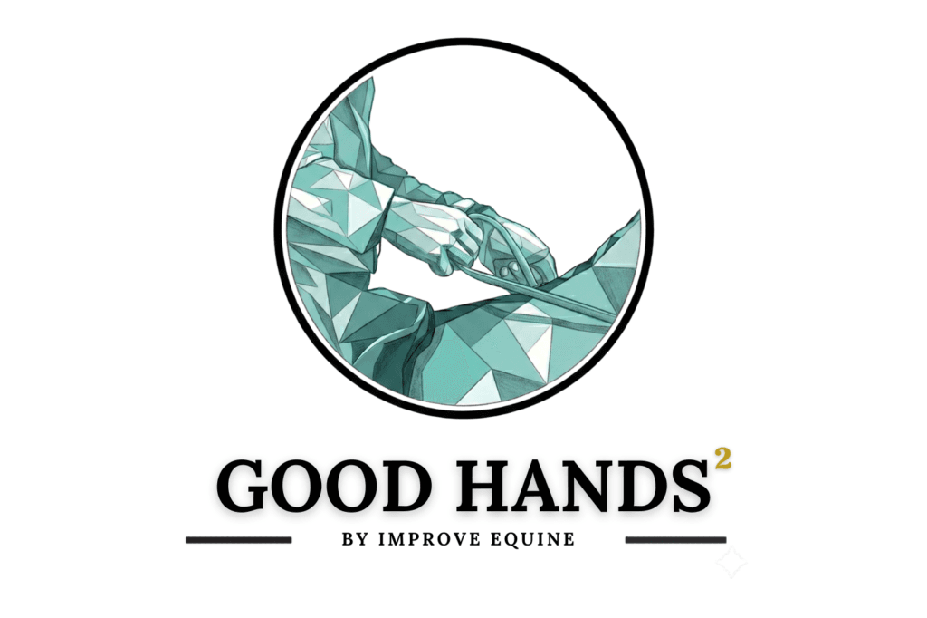 Good Hands² - Improve Equine
