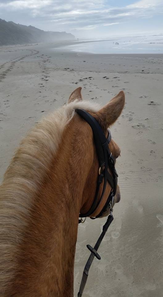 Sara Kirkwood with her horse