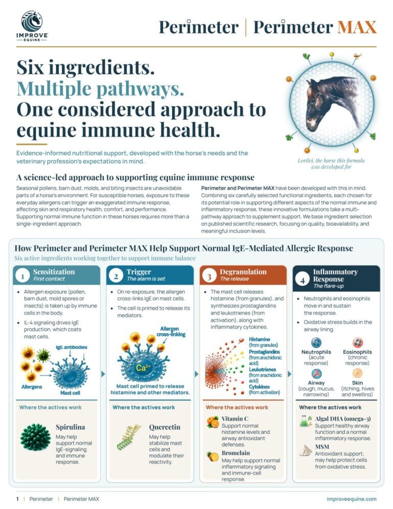 Perimeter technical overview, page 1: six ingredients, multiple pathways